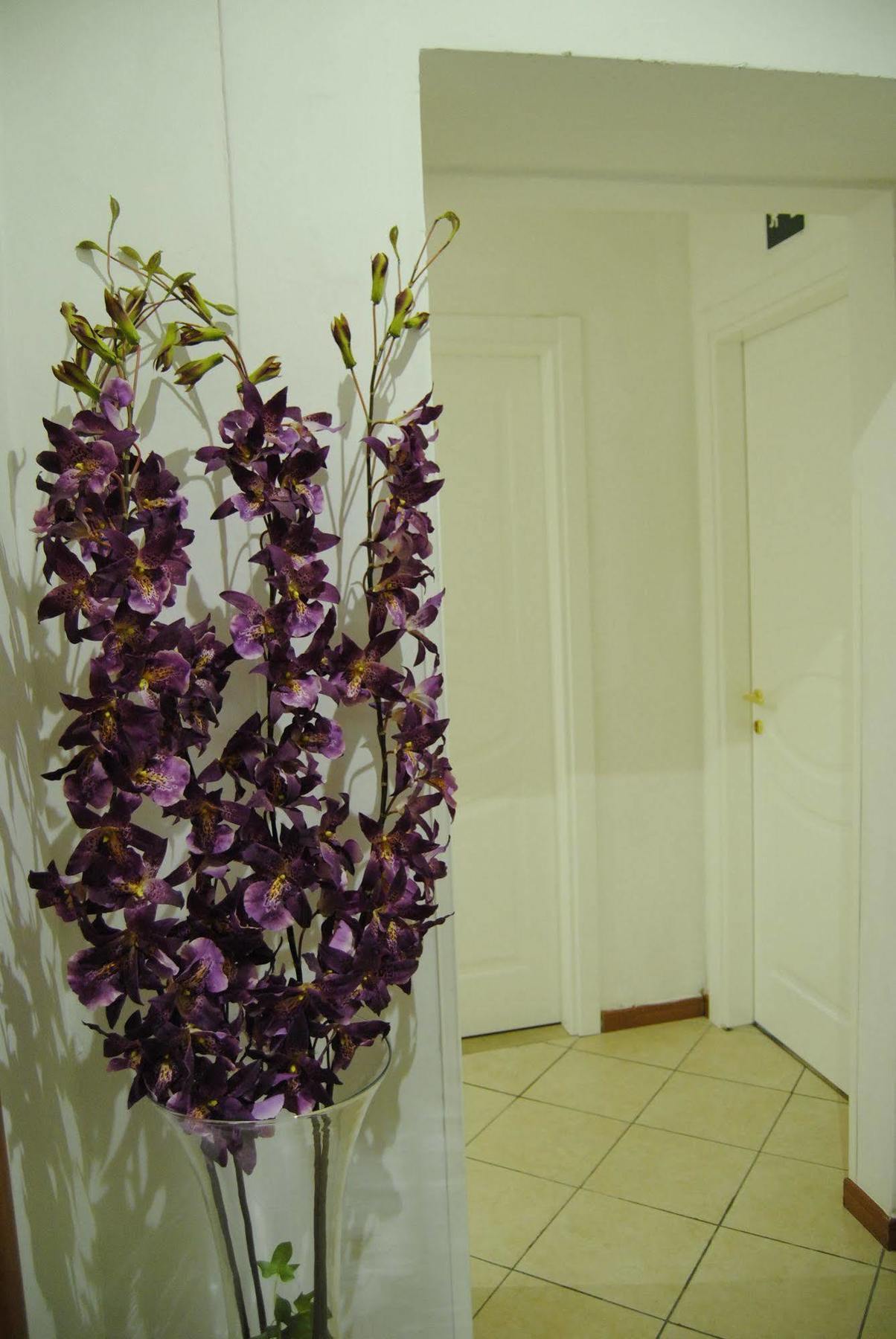 מלון פירנצה Adelaide House מראה חיצוני תמונה